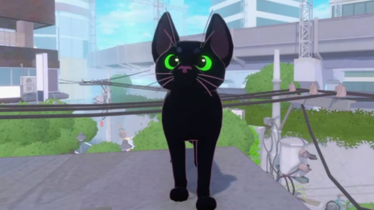 Little Kitty, Big City celebró su primera meta superada