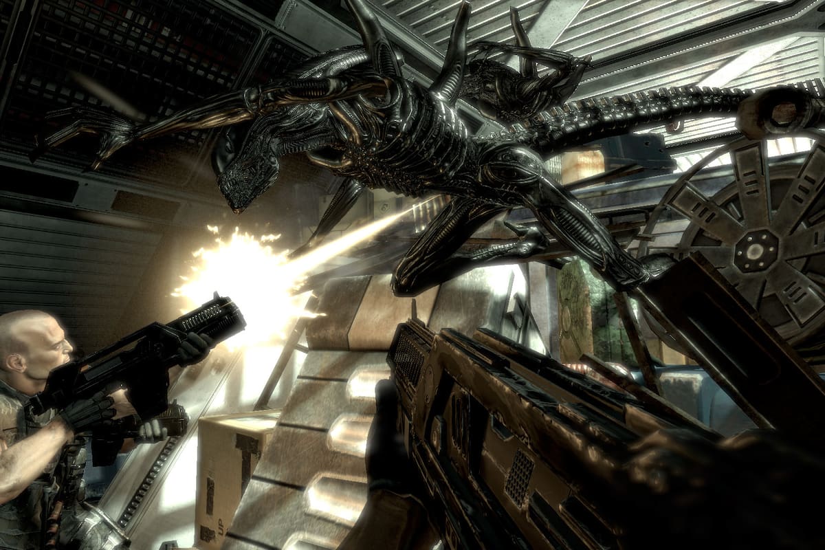 Australia desbannea Alien Vs. Predator