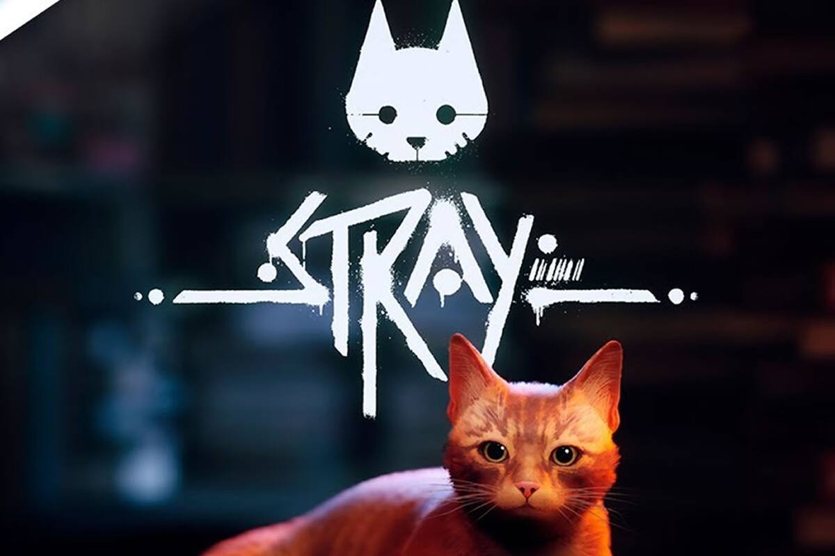 ¡Adorables! Gatitos reaccionan a Stray, el juego del momento en PlayStation y PC