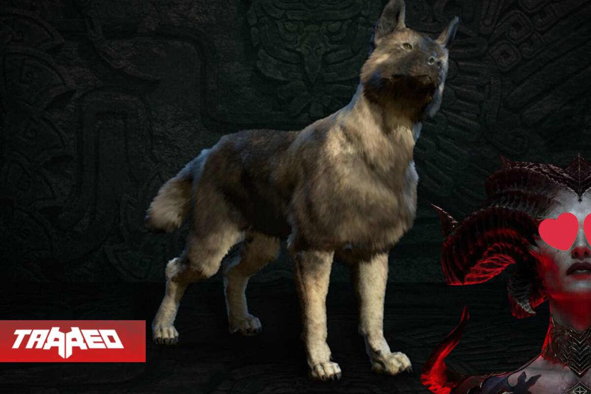 Diablo 4 ahora tiene lindas mascotas que te siguen a todas partes: una clase no debería usarlas ahora