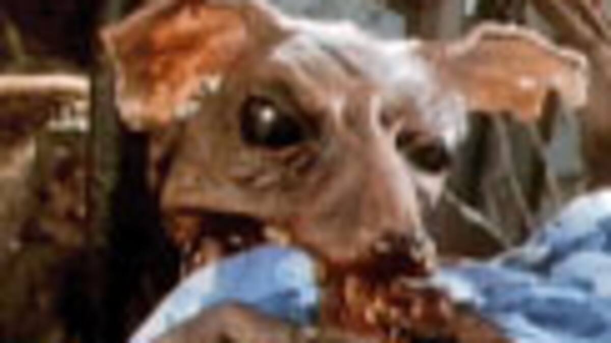 Halo, por Peter Jackson