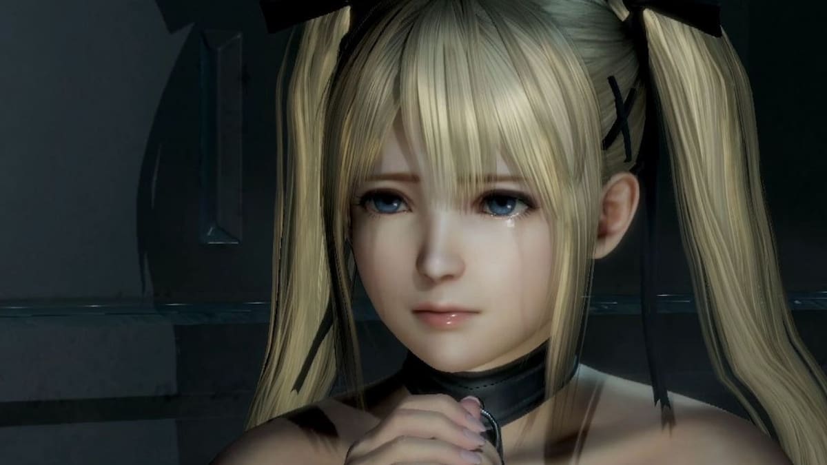 Luego de casi 1 año de actualizaciones, Koei Tecmo anunció los últimos DLC que llegarán al juego