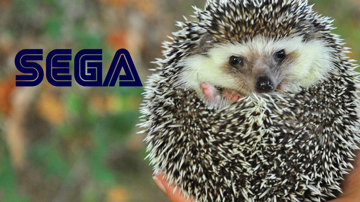 Muchos piensan que el inesperado visitante es una referencia a Sonic the Hedgehog