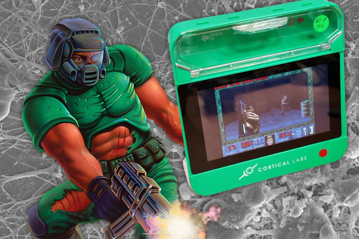 Logran que 200,000 células cerebrales vivas en un chip aprendan a jugar DOOM, y los resultados son impresionantes