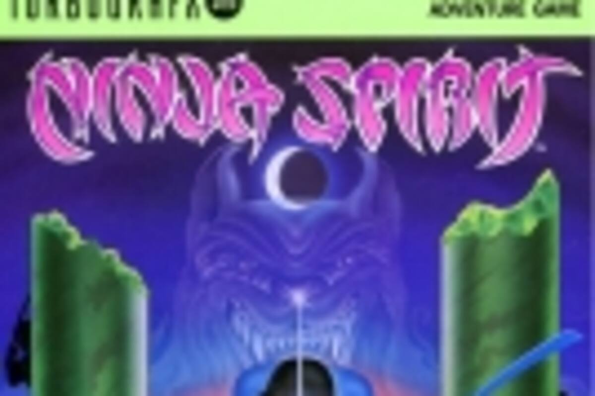Ninja Spirit