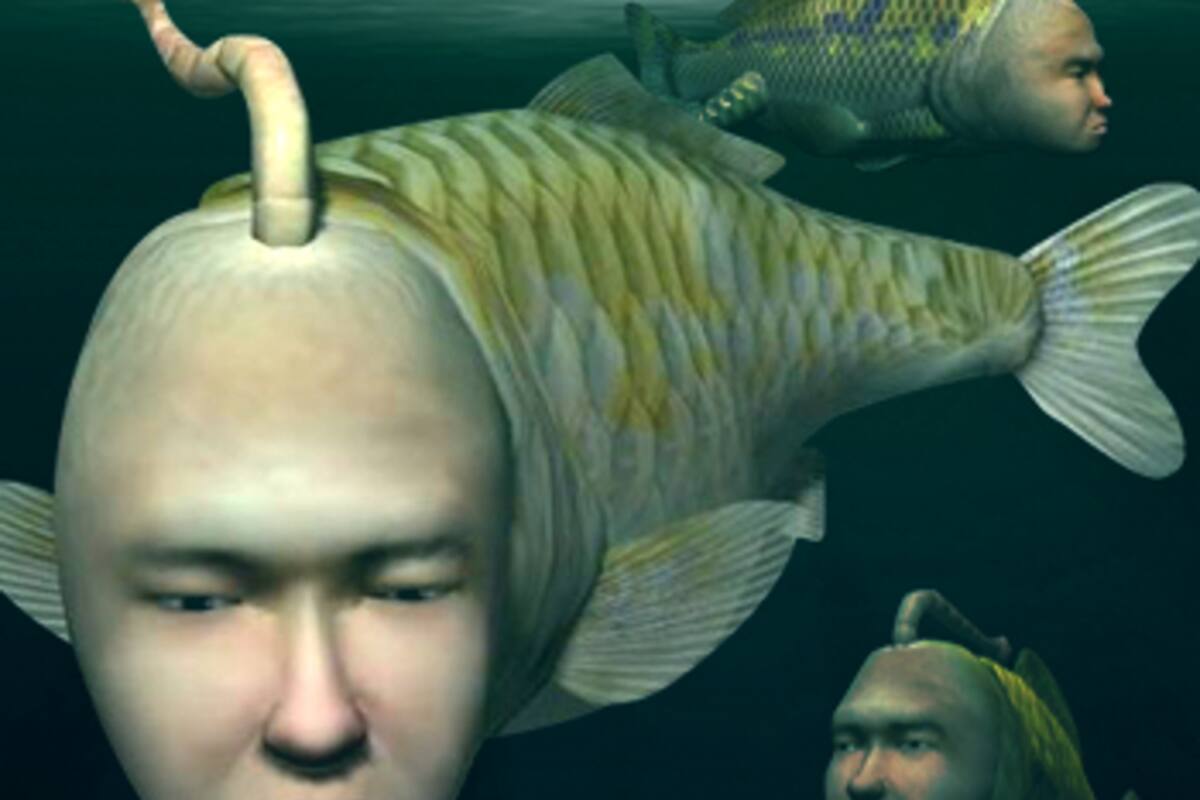 La franquicia Seaman podría revivir