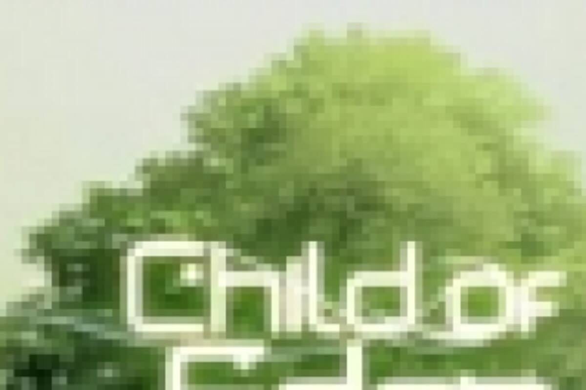 Child of Eden no será descargable