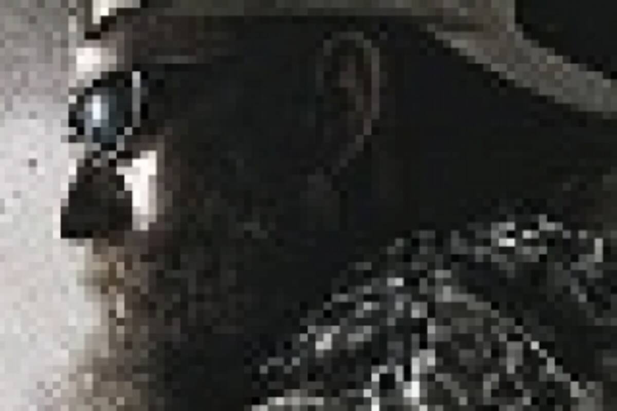 Medal of Honor no será compatible con Move