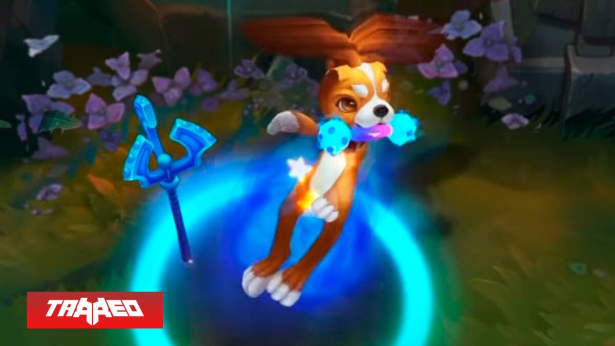 Nuevas líneas temáticas que saldrán a la luz en los próximos meses.