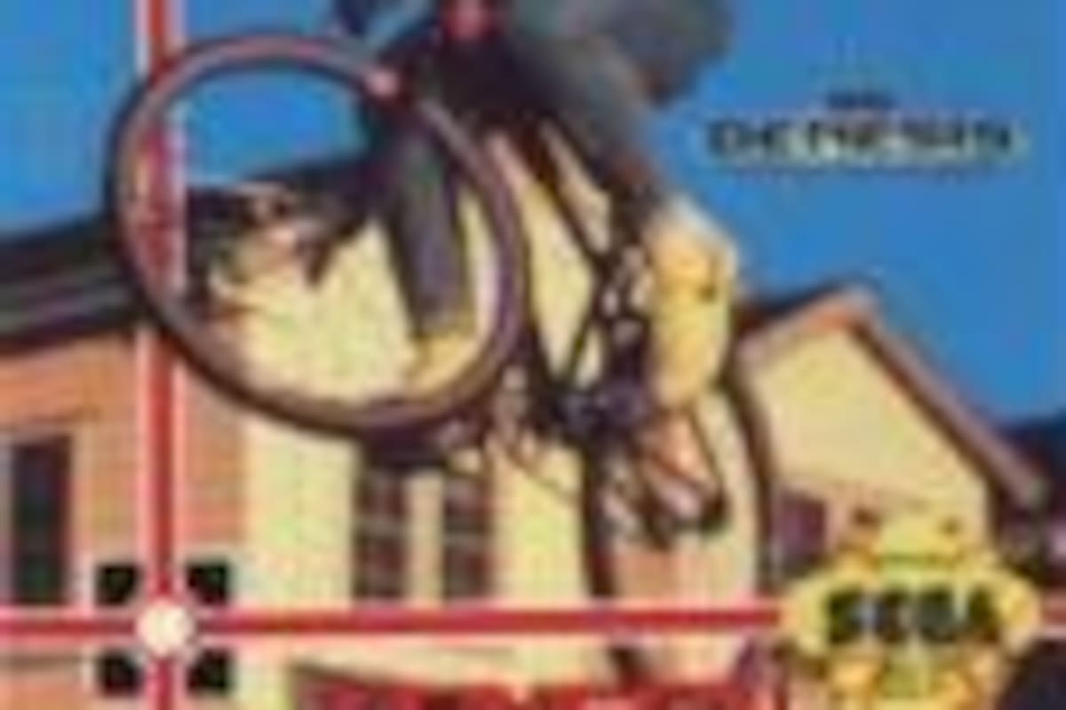 Paperboy 2