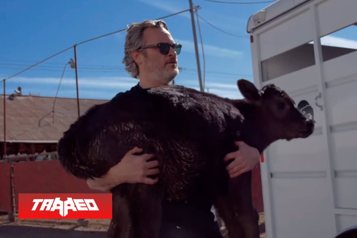 Joaquin Phoenix rescata a un ternero y a su mamá del matadero