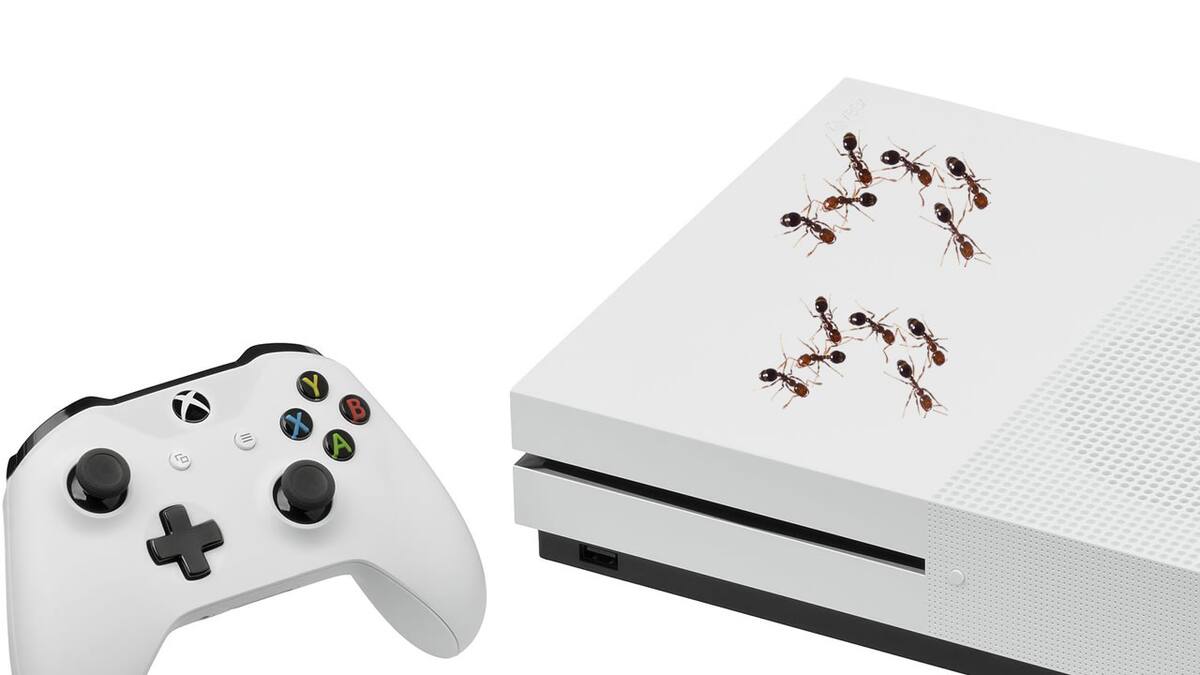 Pareja se preguntaba el origen de los insectos hasta que descubrió que estaban en su consola