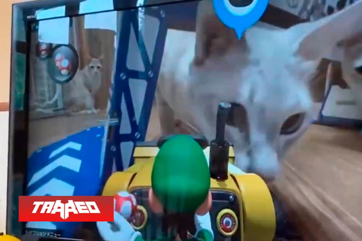 Gatitos causan estragos en el estreno de Mario Kart Live: Home Circuit