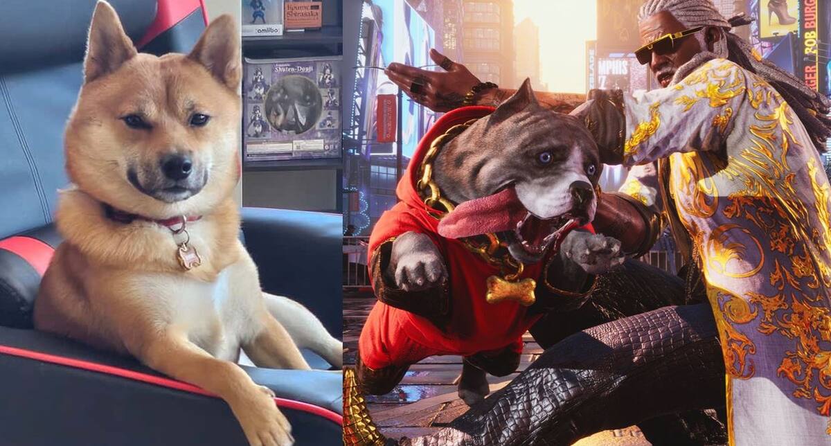 Perro-Shiba-TEKKEN-8.jpg