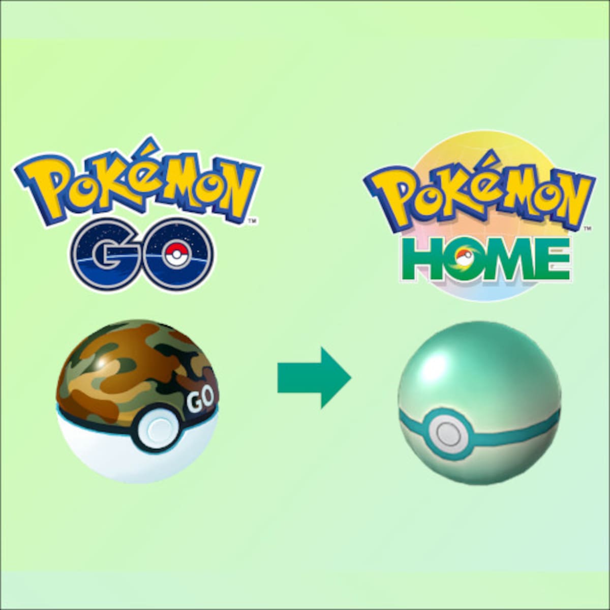 Pokémon HOME Safari Ball