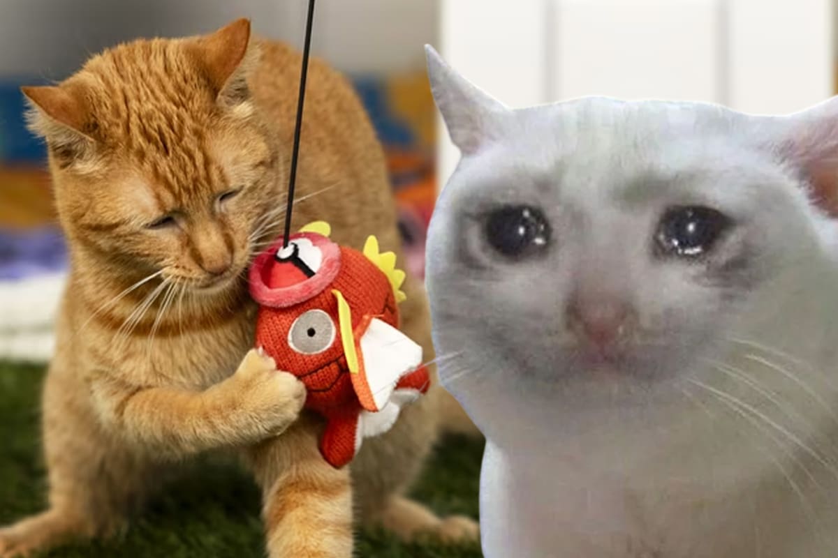 Los estafadores tampoco respetan a los gatos, pues acaparan un juguete para mascotas temático de Pokémon y lo revenden a precios exorbitantes