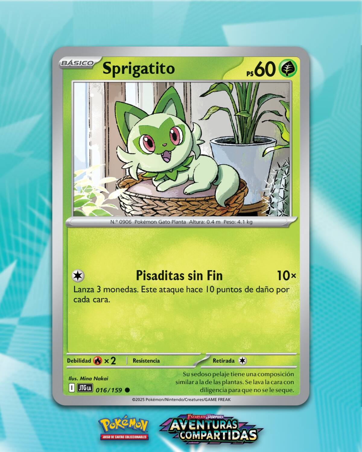 Pokemon-TCG-por-fin-sera-localizado-al-espanol-latino.jpg