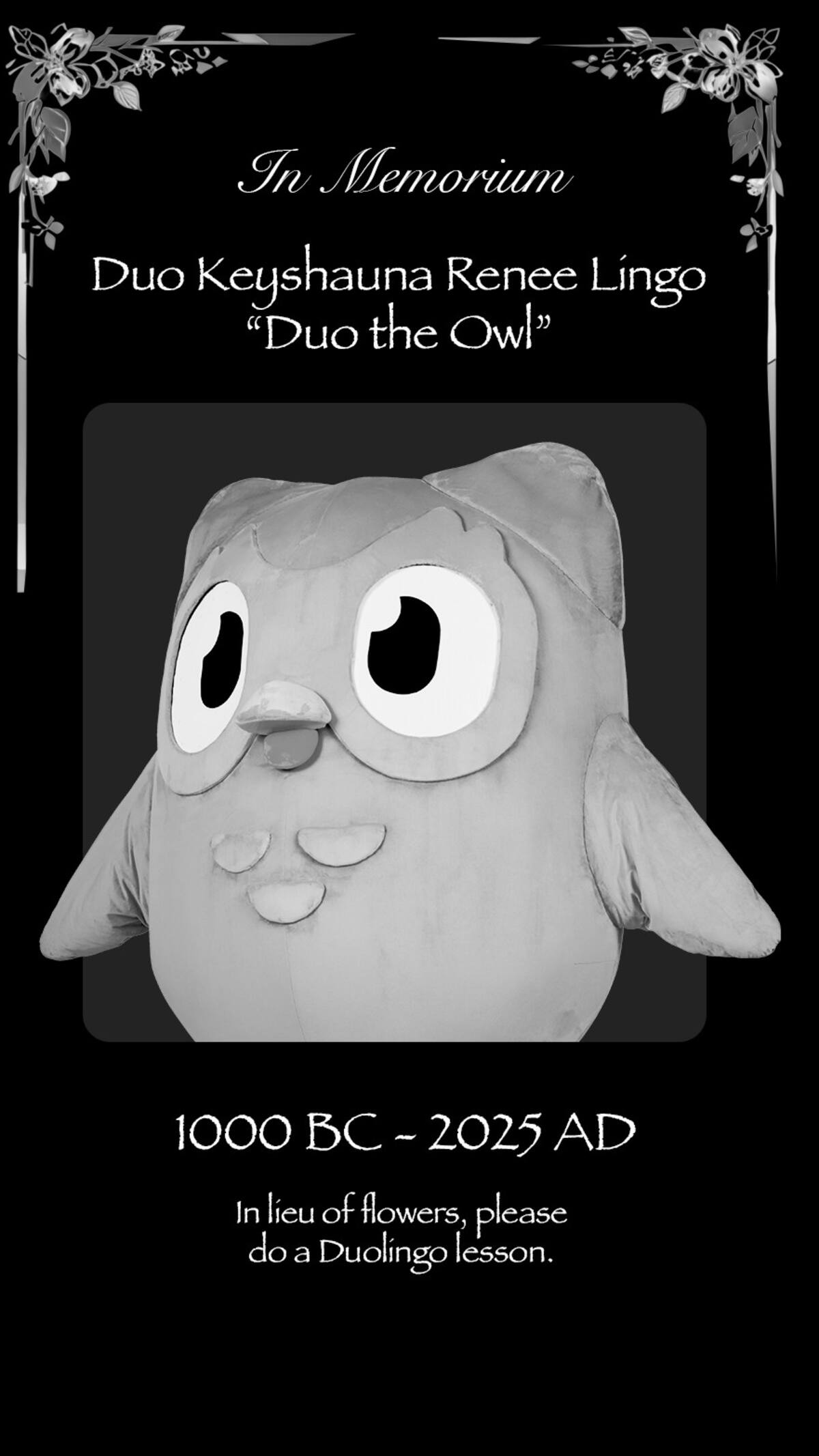 Por-que-murio-el-buho-de-Duolingo-adicional.jpg