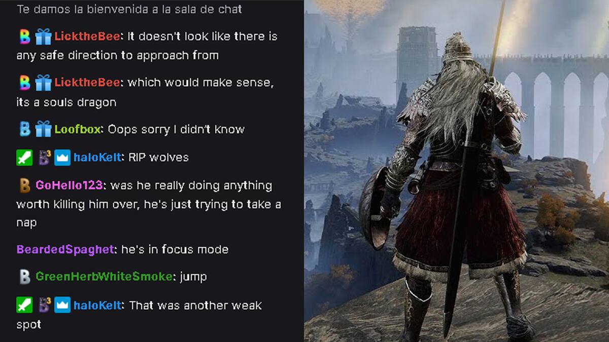 Por supuesto, la curiosa experiencia cooperativa con el título de FromSoftware fue un desastre