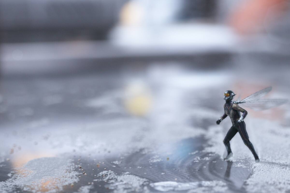 Ant-Man and The Wasp: una historia subatómica en un gran universo.