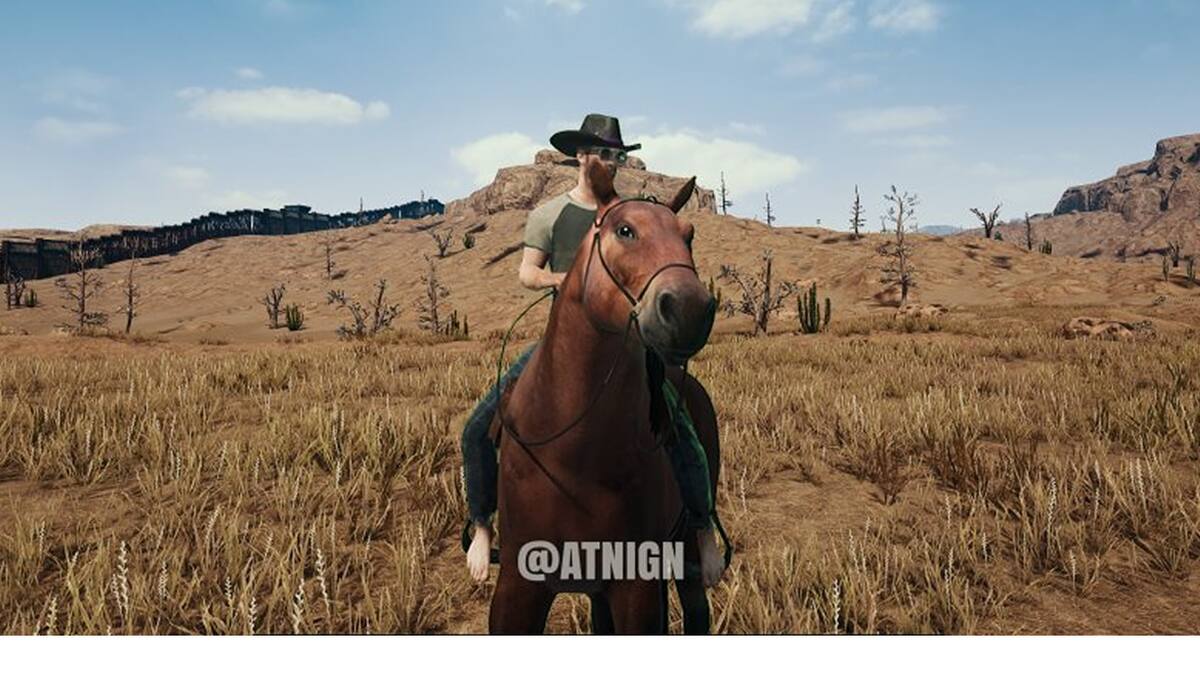 Project Cowboy será un shooter de mundo abierto para consolas y PC