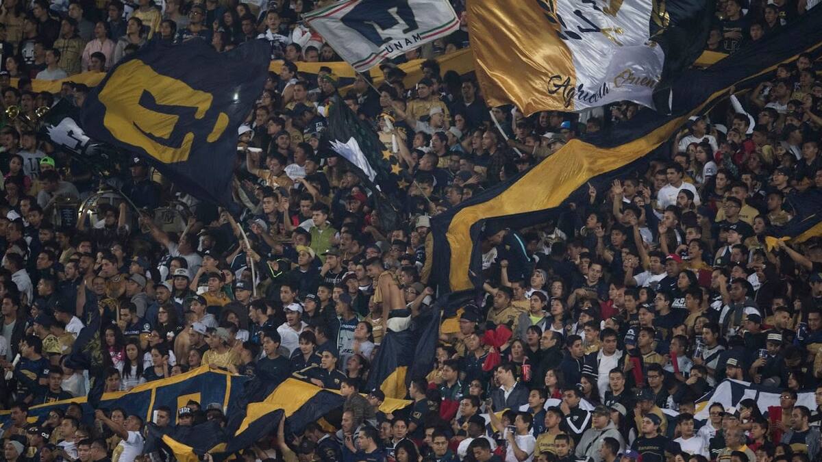 Pumas