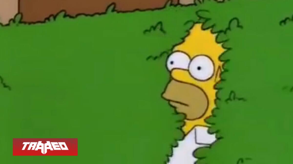 ¿Qué está haciendo señor?