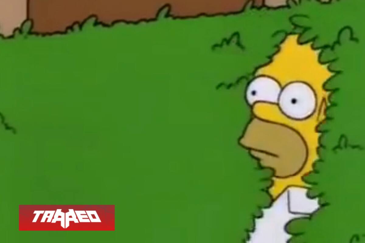 Homero atentó contra la 4ta pared usando un meme suyo en el programa