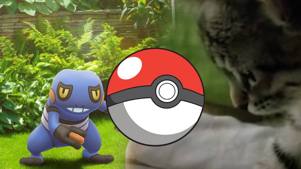 ¿Quién dijo que sólo los humanos podemos ser maestros Pokémon?