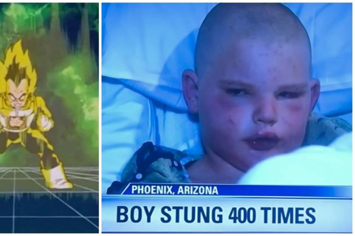 Niño de 11 años sobrevivió ataque de abejas invocando a Vegeta