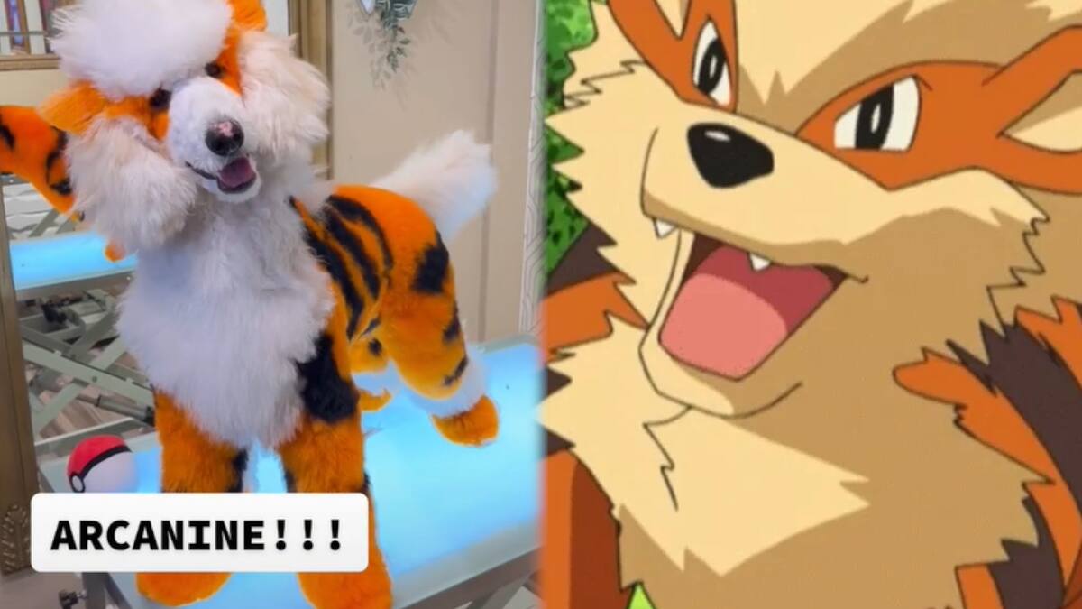 Reconocido estilista de perros también ha convertido a cachorros en Growlithe y Pikachu
