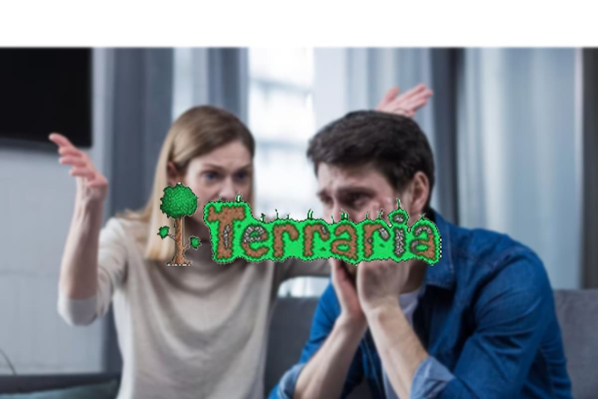 Creador de Terraria fue baneado de los foros del juego; su esposa fue la culpable