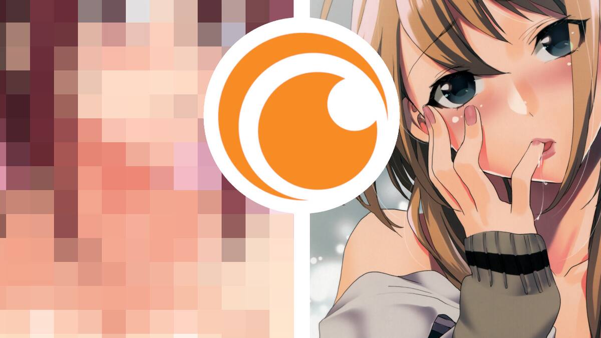 Right Stuf Anime dejará de distribuir directamente productos no aptos para menores de edad