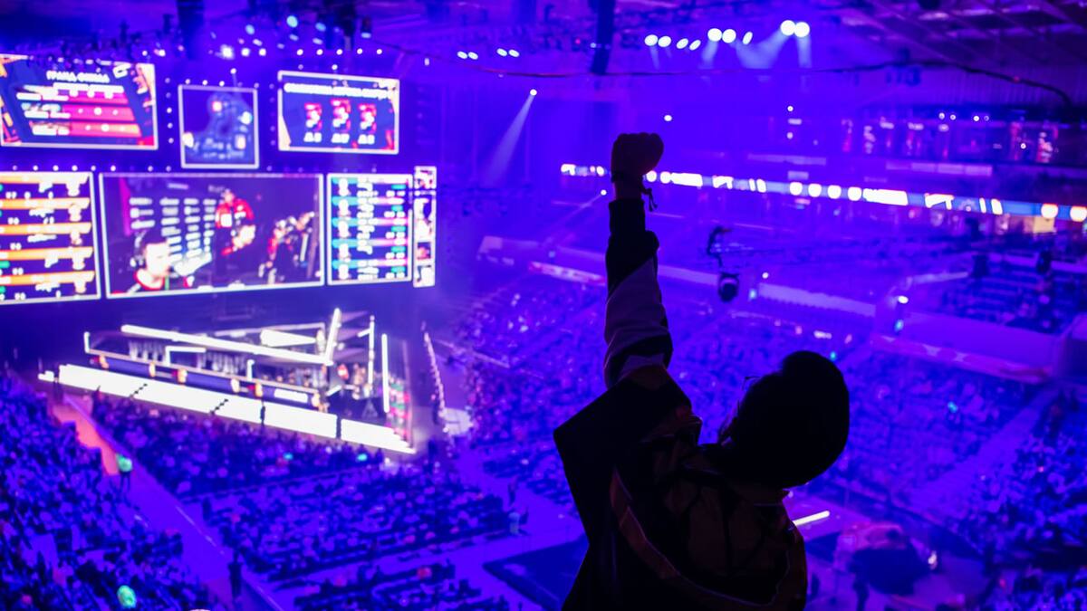 Se espera que en los próximos años haya más ingresos por parte de aficionados que de nichos de jugadores