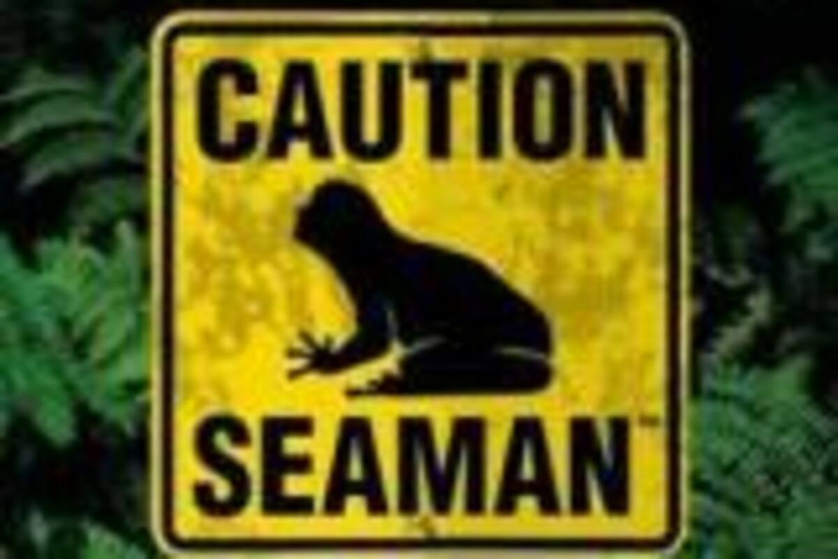 Seaman