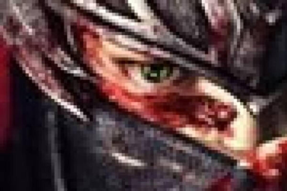 E3 2011: Ninja Gaiden III
