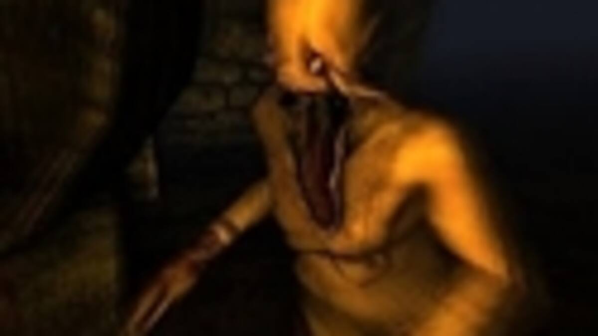 Seguirán por el camino del horror