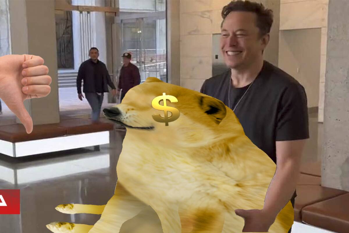 Demandan a Elon Musk por subir el precio del Dogecoin un 36.000%, y luego vender en su pico de valor para después dejar que se derrumbará
