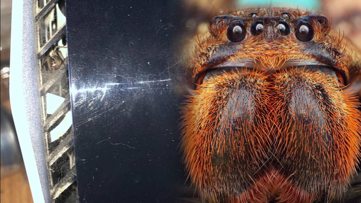 ¿Será que el arácnido está emocionado por Marvel’s Spider-Man 2?