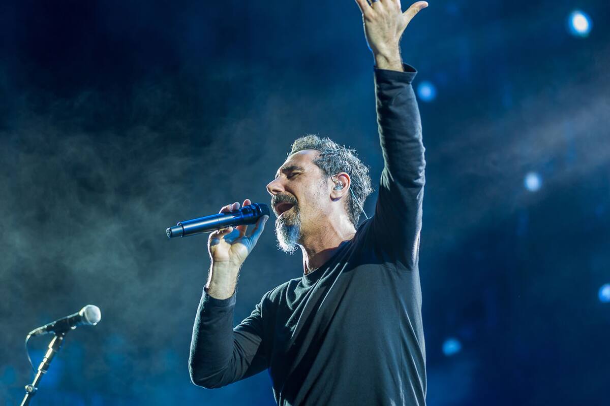 Vocalista de System of a Down: si juego videojuegos no puedo parar