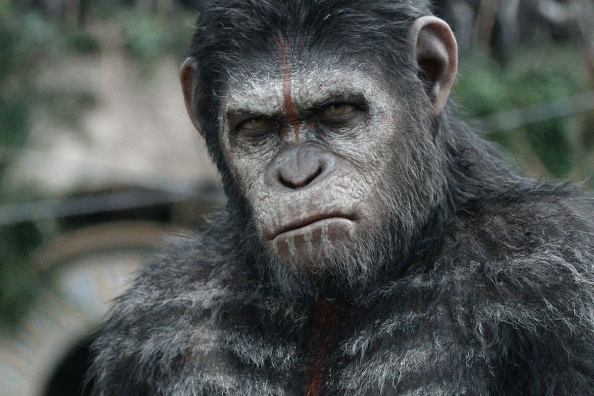 Habrá juego de War for the Planet of the Apes