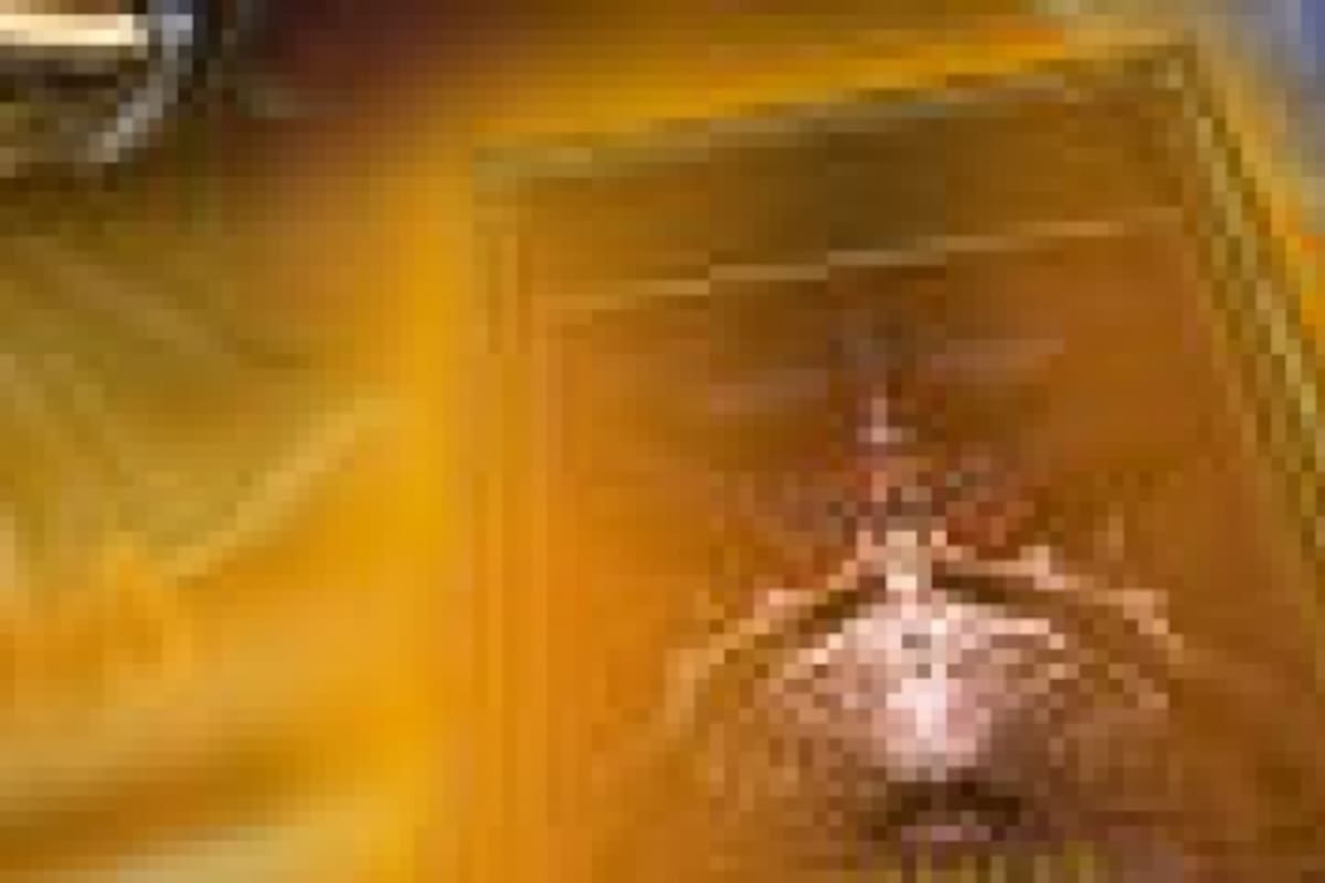 Conoce a los 4 participantes de la primera Parada Competitiva de League of Legends