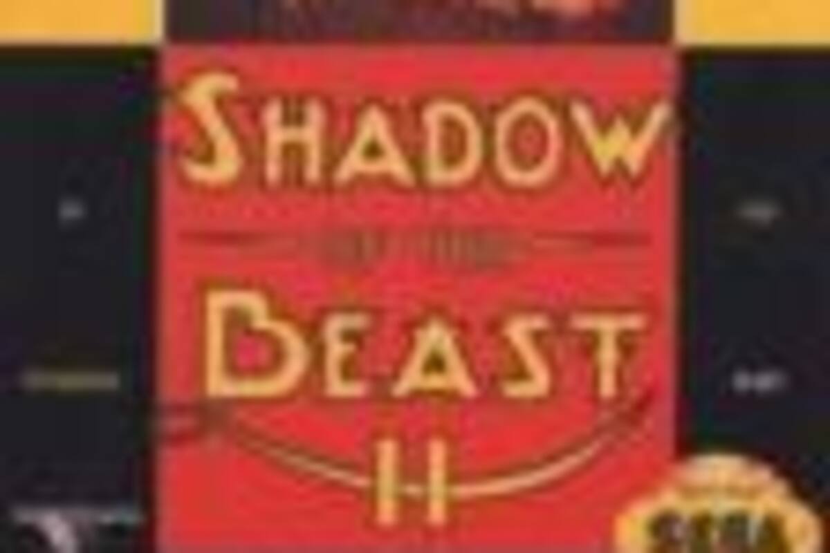 Shadow of the Beast II