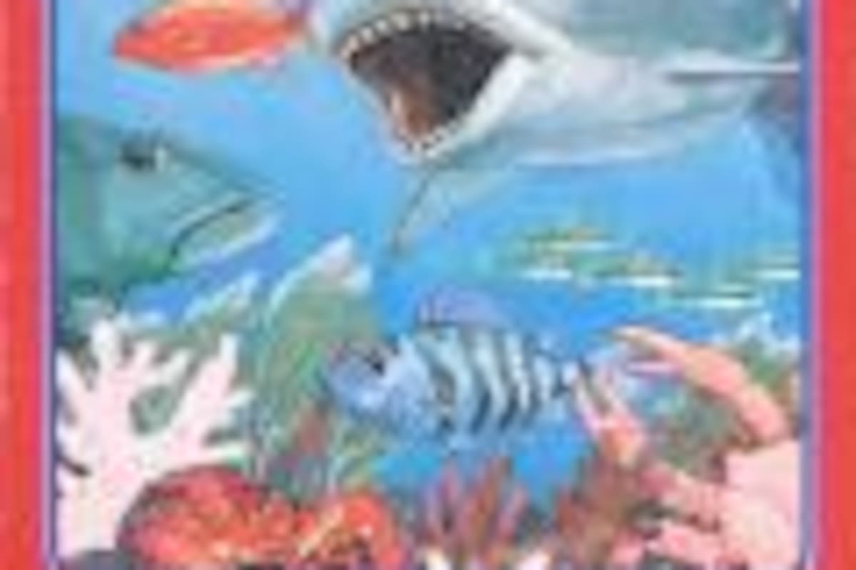 Shark! Shark!