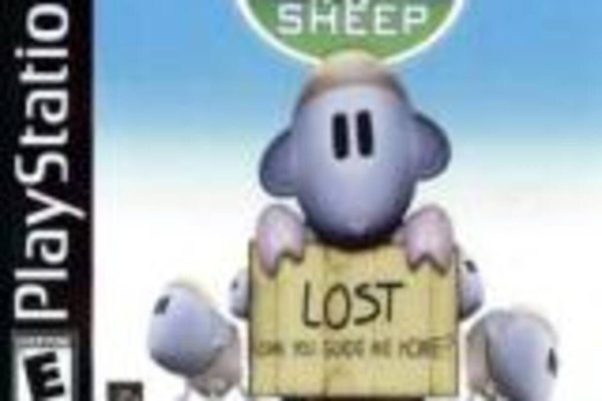 Sheep