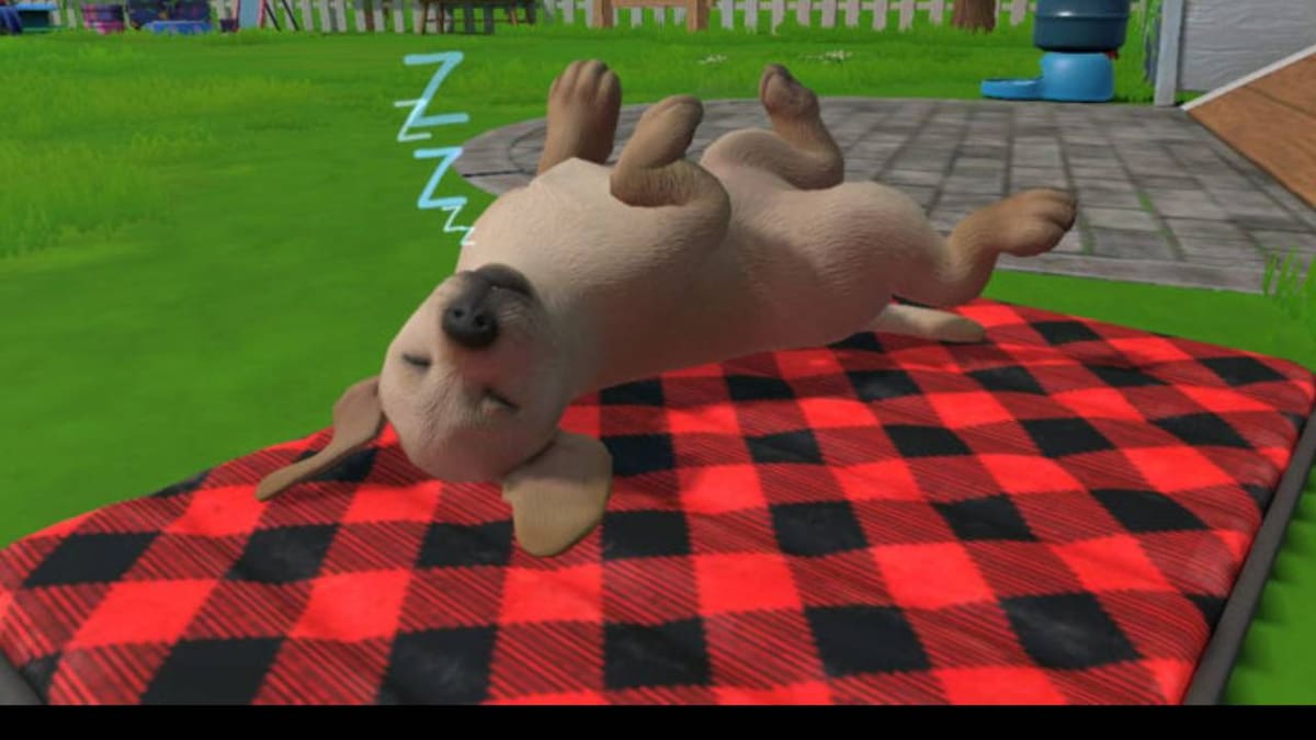 Si estabas esperando otra entrega de Nintendogs, parece que esto será lo más cercano que se lance