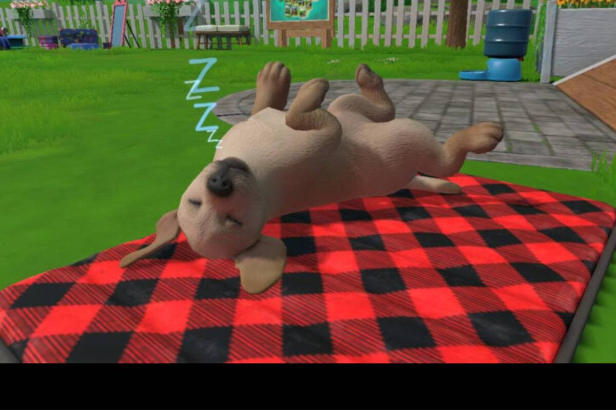 Anuncian este nuevo simulador de perritos para Nintendo Switch y PC