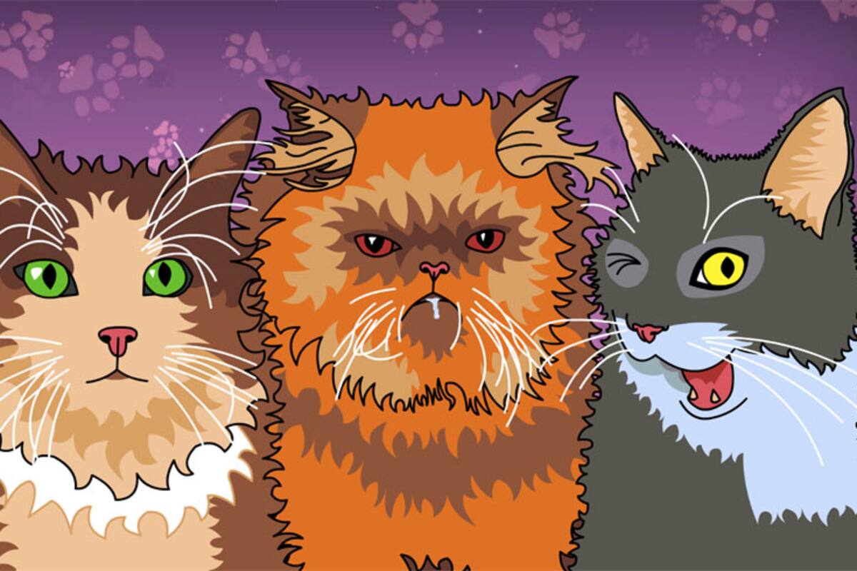 Ten una cita romántica con un gato en Purrfect Date