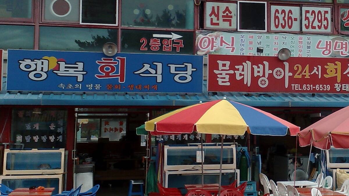 Sokcho es la única ciudad del país en la que está disponible el juego