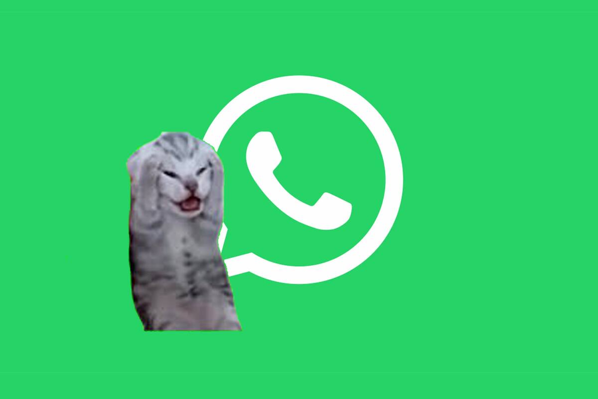 WhatsApp podría revolucionar una de sus funciones más odiadas por los introvertidos